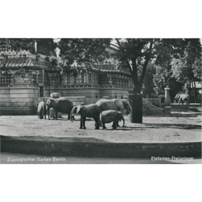 SLM P2022-1608 - Vykort över Zoologiska trädgården i Berlin
