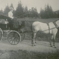 SLM P09-2031 - Kronprinsessan Victoria kör spann, kusken Eriksson där bak, Tullgarn år 1905