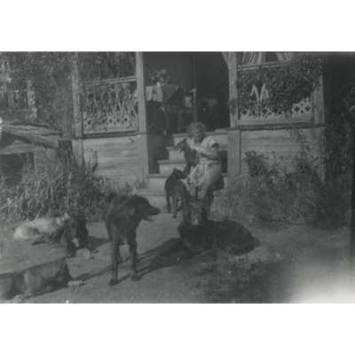 SLM P07-341 - Lisa Hall på trappan med hundarna