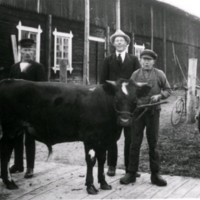 SLM M027520 - Georg Åkerman, Simon Lindström och djurskötare Erik Licke, Espedal i Husby-Oppunda socken, 1920-tal