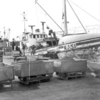 SLM R114-82-11 - Fiskebåtar i Nyköpings hamn, 1982