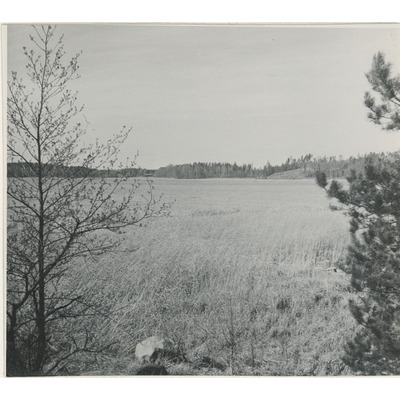 SLM A4-81 - Sjön Nasen år 1949