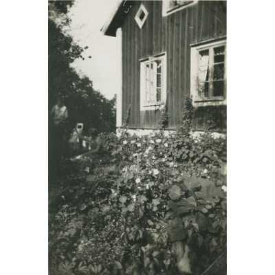 SLM P07-549 - Blomsterrabatt utanför boningshuset, Björktorps gård 1928