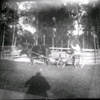 SLM Ö600 - Man på häst och vagn framför gärdsgård