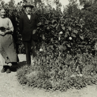 SLM P08-2116 - Äldre par i trädgården, möjligen Anna Johanssons föräldrar