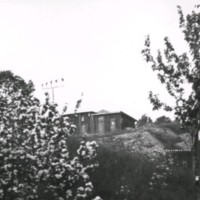 SLM M027888 - Trädgård i Oxelösund, tidigt 1900-tal