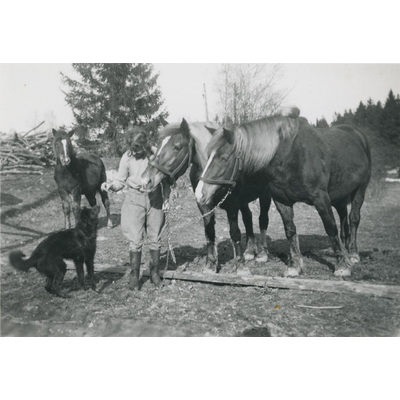 SLM P07-333 - Karin Hall med hästar i hagen