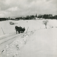 SLM P12-1483 - Häst med släde vinter 1952, Ripsa