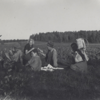 SLM P12-161 - Karl Johan Nilsson med flera har ”potatisplockningsrast”, Åkerö år 1938