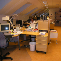 SLM D05-304 - Sveriges Radios lokalredaktion i Nyköping, reporter Clara Johansson, år 2005
