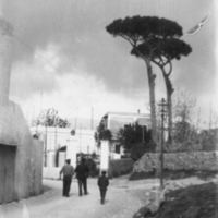 SLM P09-754 - Gata i Anacapri, Capri år 1903