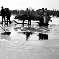 SLM P09-1669 - Strömmimgsfiske med not på Ålöfjärden på 1900-talets början