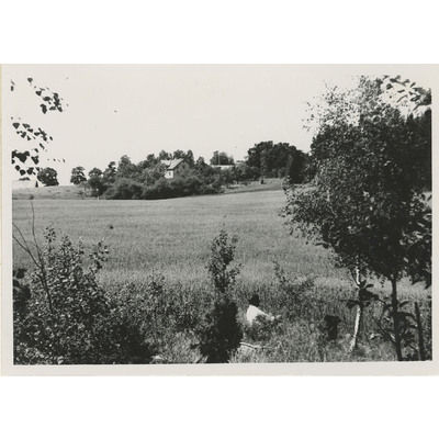 SLM X2990-78 - Lena gård, Flen, 1953