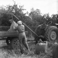 SLM X11-013 - Lastning med traktor, 1950-tal