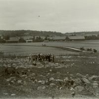 SLM P11-6466 - Växtexkursion i Kila socken 1918