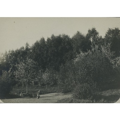 SLM P09-1524 - Trädgård med höns