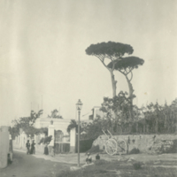 SLM P09-1933 - Gata i Anacapri, Capri, Italien omkring 1903