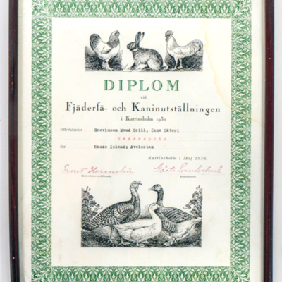 SLM 40332 - Diplom, Hederspris för Rhode Island; Avelsstam 1930, Ökna i Floda socken