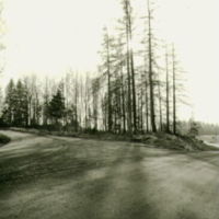 SLM A16-352 - Gravfält, Knutsta