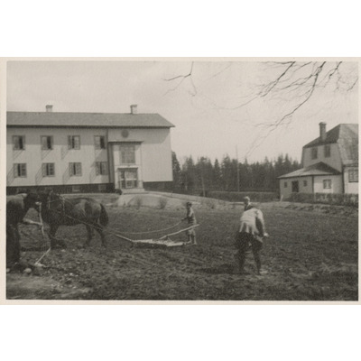 SLM P2020-0410 - Plöjning med häst framför Österbo, Solbacka Läroverk, 1932