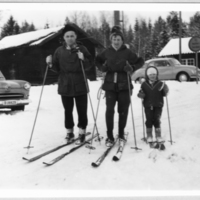 SLM P09-482 - Familjen Johansson på skidor år 1962