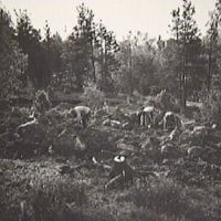 SLM M009386 - Bronsåldersrösen vid Hållsta år 1944