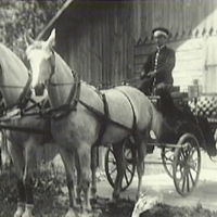 SLM M001934 - Kusken Valfrid Andersson med hästar, Lilla Sjögetorp