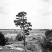 SLM R1046-92-1 - Gärden mot Stadsfjärden, Rosenkälla, 1956