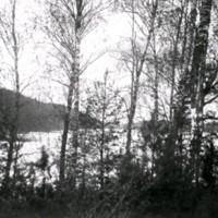 SLM Ö426 - Skogsparti med sjö