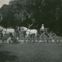 SLM P09-2030 - Kronprinsessan Victoria kör sitt hästspann vid Tullgarn år 1905