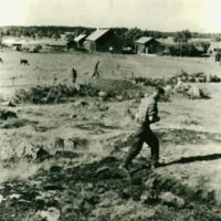 SLM A9-257 - Gravundersökning vid Södra Åby år 1959