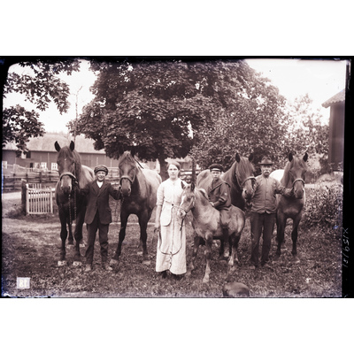 SLM X159-81 - Porträtt med hästar
