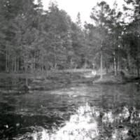 SLM Ö427 - Skogsparti med sjö