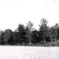 SLM A6-224 - Gravfältet söder om Råsta gård, foto 1969