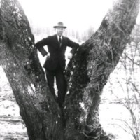 SLM X1843-78 - Porträtt på en man i ett träd