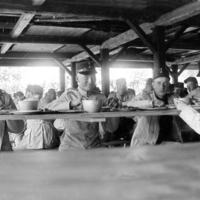 SLM R195-90-2 - Lunchrast på Malmahed år 1896