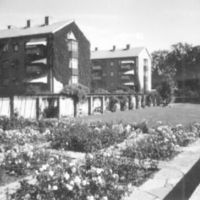 SLM R1060-92-4 - Gripsholmsparken, 1956