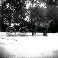 SLM Ö590 - Hästekipage, två hästar framför en vagn med kusk, Ökna säteri i Floda socken