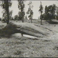 SLM A7-465 - Glaciärhäll i Algö fårhage år 1969