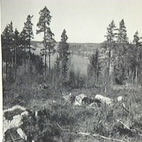 SLM A5-64 - Lundsjön i Floda år 1949