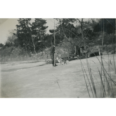 SLM P07-637 - Karin Hall och en hund på isen, 1934