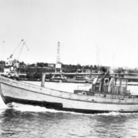 SLM R51-85-5 - Båten 'Viking' byggd 1948 på Oxelösunds båtvarv