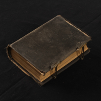 SLM 36827 - Sigrid Segelbergs bibel från 1889