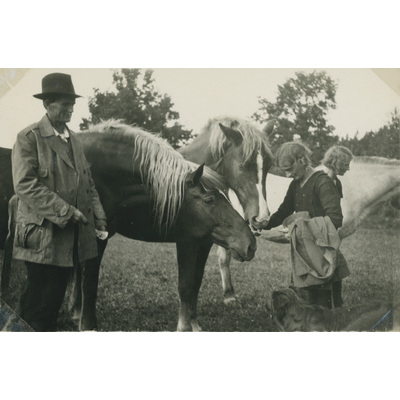 SLM P07-554 - Systrarna Hall, Fritz Andersson och hästar i hagen, 1930