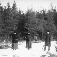 SLM P07-1125 - Vinterpromenad i skogen, troligen Floda socken, tidigt 1900-tal