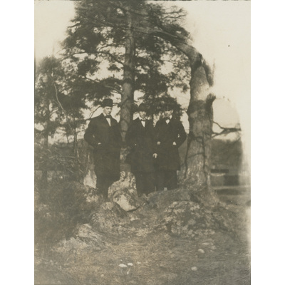 SLM P2022-1119 - Tre män i skogsparti