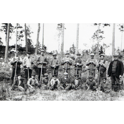 SLM R513-92-3 - Skogsplantering på Björksund, 1920-tal