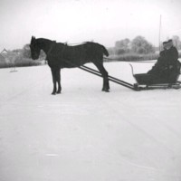 SLM Ö621 - Människor på släde förspänd med en häst