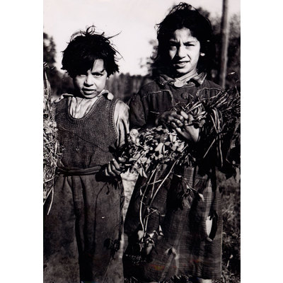 SLM M031510 - Romska barn på 1930-talet