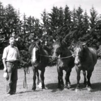 SLM M029197 - En man med tre stora hästar.